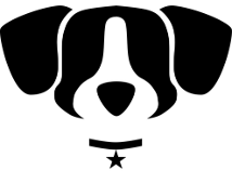 Sirius Logo